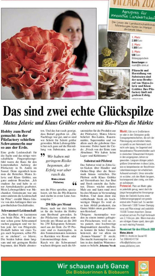 Hygiene in der Pilzzucht
