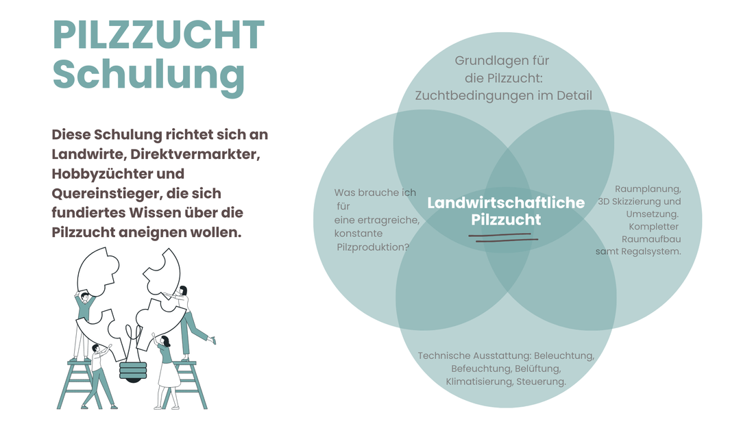 Wir kommen zu Dir!